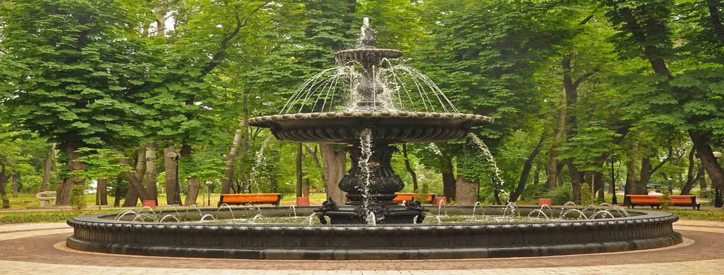 Image for Mariinsky Park